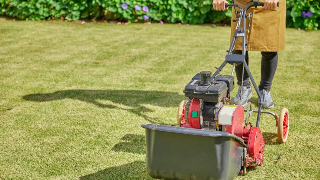 Aerate Your Yard Aerate Your Yard