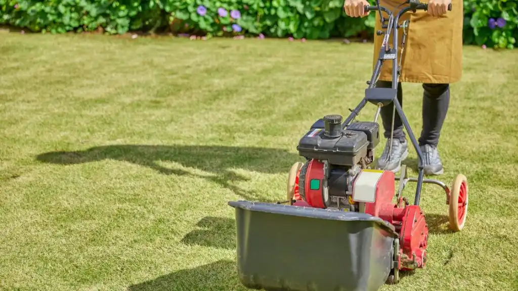 Aerate Your Yard