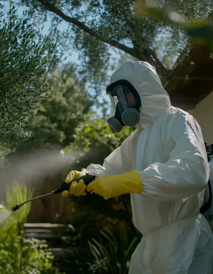 why-diy-removal-is-a-bad-idea